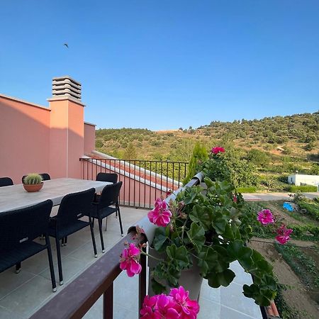 Apartamentos La Flor San Martin de Moncayo ภายนอก รูปภาพ